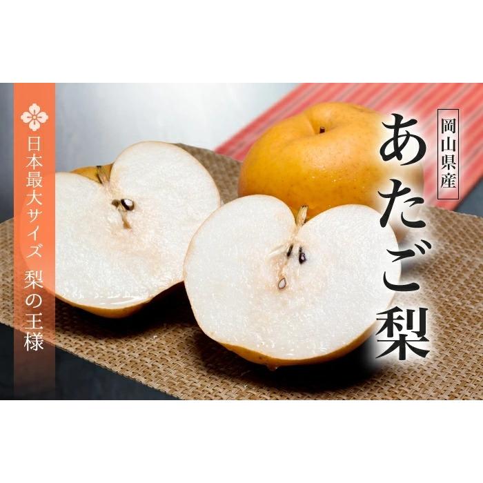 梨 あたご梨 秀品 3〜9玉 4kg 岡山県産 JAおかやま 愛宕梨 ナシ なし