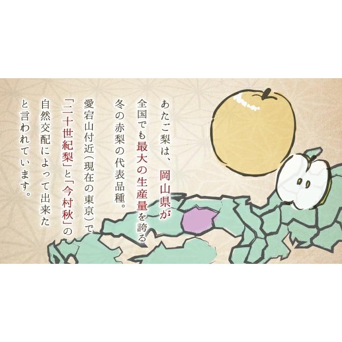 新春セール　梨　愛宕　家庭用　20㎏ 梨 あたご梨 秀品 3〜9玉 4kg 岡山県産 JAおかやま 愛宕梨 ナシ なし