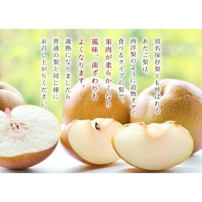 梨 あたご梨 秀品 3〜9玉 4kg 岡山県産 JAおかやま 愛宕梨 ナシ なし