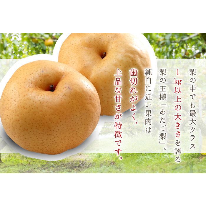 お歳暮 梨 あたご梨 秀品 大玉 1玉 1.8kg 岡山県産 JAおかやま 愛宕梨 ナシ なし ギフト|hachiya-fruits|04
