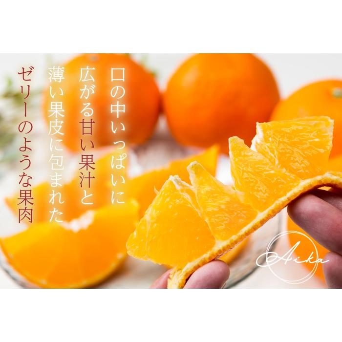 みかん あいか 紅まどんなと同品種 秀品 等級 4l Lサイズ 5kｇ 送料無料 Jaえひめ中央 中島選果場 蜜柑 ミカン Aik003 はちやフルーツ 通販 Yahoo ショッピング