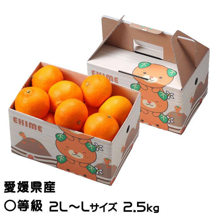 お歳暮 みかん あいか 〇等級 2L〜Lサイズ 2.5kg みきゃん箱入 紅まどんなと同品種 JAえひめ中央 中島選果場 蜜柑 ミカン ギフト お取り寄せ :aik006:はちやフルーツ - 通販 - Yahoo!ショッピング お歳暮 みかん あいか 〇等級 2L〜Lサイズ 2.5kg みきゃん箱入 紅まどんなと同品種 JAえひめ中央 中島選果場 蜜柑 ミカン ギフト お取り寄せ :aik006:はちやフルーツ - 通販 - Yahoo!ショッピング