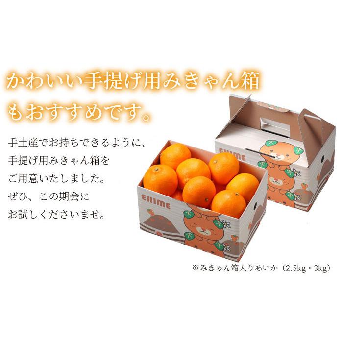 ギフト みかん あいか みきゃん箱入 風のいたずら 訳あり 2l Lサイズ 2 5kｇ 送料無料 Jaえひめ中央 中島選果場 蜜柑 ミカン Aik013 はちやフルーツ 通販 Yahoo ショッピング