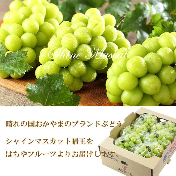 お中元 ぶどう シャインマスカット 晴王 赤秀 800g×１房 岡山県産 葡萄 ブドウ ギフト お取り寄せ_5