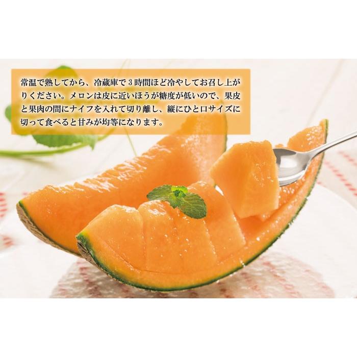 メロン 赤肉メロン 風のいたずら ちょっと訳あり 3〜6玉 5kg 産地厳選 めろん 父の日｜hachiya-fruits｜07