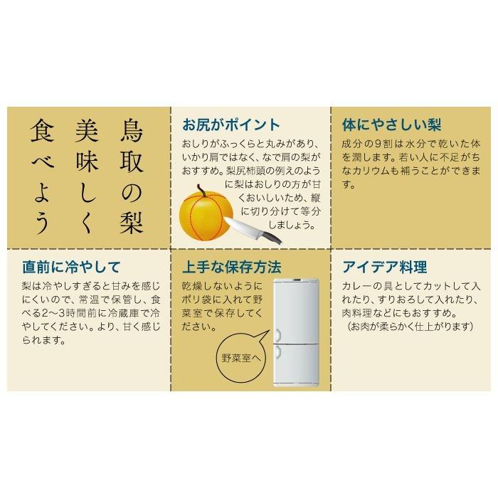 梨 秋甘泉 あきかんせん ちょっと訳あり 大きさおまかせ 5kg 鳥取県産