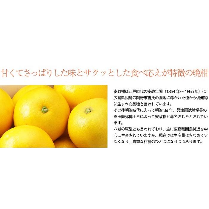 みかん 安政柑 あんせいかん 訳あり 大きさおまかせ 10kg 広島県 因島産 みかん 蜜柑 ミカン Akn0 はちやフルーツ 通販 Yahoo ショッピング