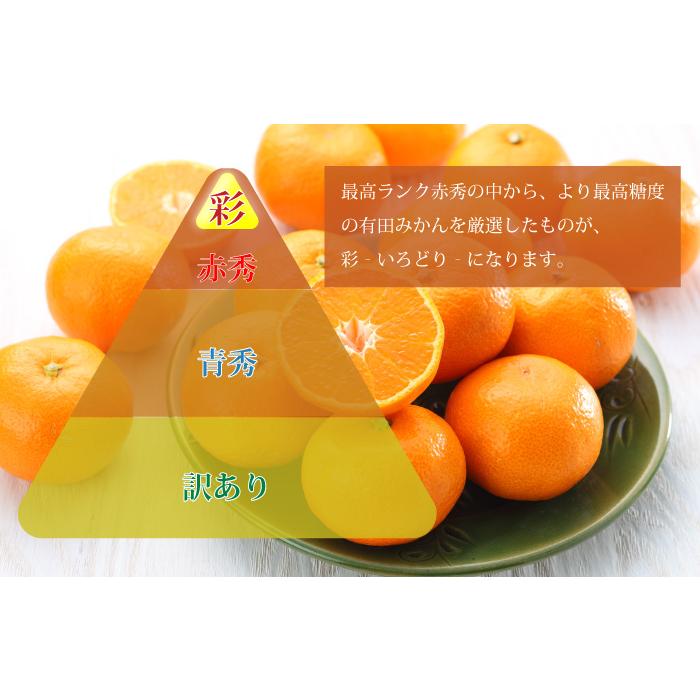 みかん 有田みかん 彩いろどり 赤秀 2L〜2Sサイズ 2.5kg 高糖度厳選品