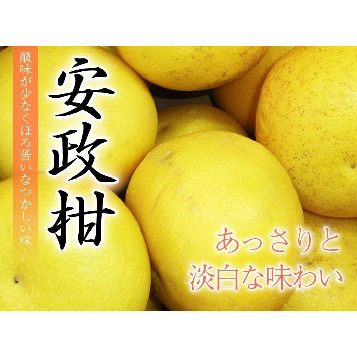 みかん 安政柑 あんせいかん 秀品 4L〜Sサイズ 10kg 広島県産 蜜柑  