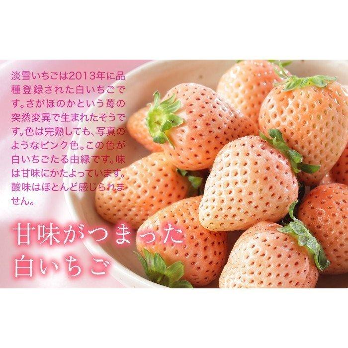 いちご 白いちご 淡雪 あわゆき 赤秀 大粒 3l 2lサイズ 270g 2パック 熊本県産 送料無料 苺 イチゴ Awy001 はちやフルーツ 通販 Yahoo ショッピング