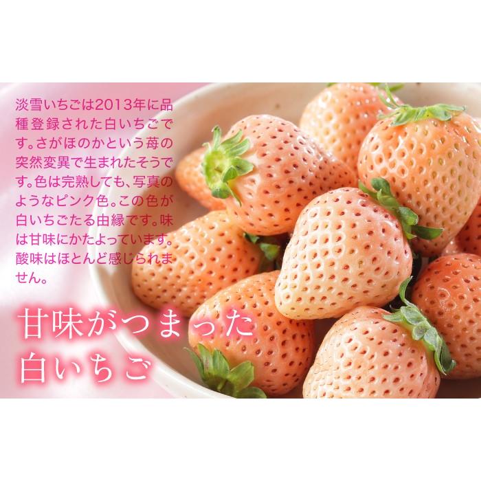 いちご 白いちご 淡雪 あわゆき 青秀 3l Lサイズ 約270g 2パック 熊本県産 送料無料 苺 イチゴ Awy002 はちやフルーツ 通販 Yahoo ショッピング