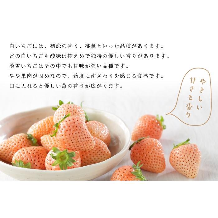 いちご 白いちご 淡雪 あわゆき 青秀 3l Lサイズ 約270g 2パック 熊本県産 送料無料 苺 イチゴ Awy002 はちやフルーツ 通販 Yahoo ショッピング