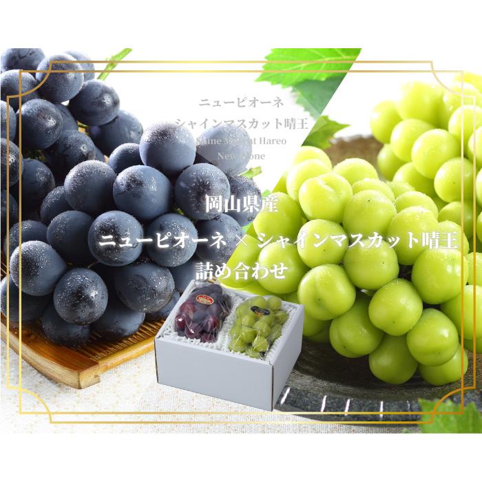 マスカットページタカラベルモント ぶどう シャインマスカット2房 約1キロ | （株）高倉農産物直売