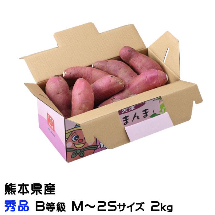 さつまいも 紅はるか 秀品 B等級 M 2sサイズ 2kg 熊本県 大津産 Ja菊池 べにはるか 蜜芋 Bhk2m2s 02 はちやフルーツ 通販 Yahoo ショッピング