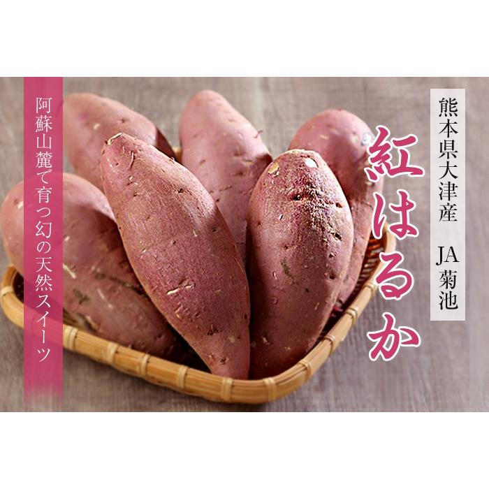本日月曜日発送‼️熊本県産さつまいも 紅はるか 自然栽培 無農薬 無肥料20kg 07e0ba09f21d7eb8fbd34bedd0764f