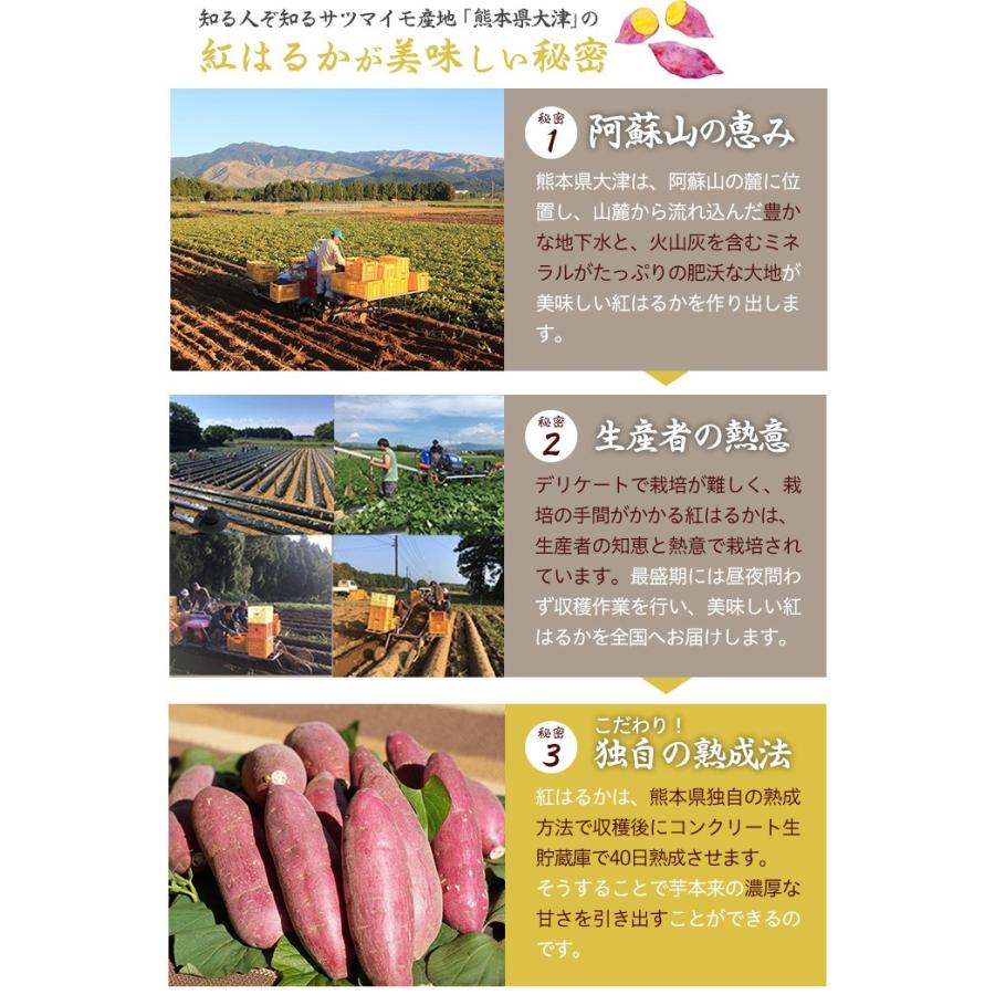 さつまいも 紅はるか 秀品 3L〜Mサイズ 5kg 熊本県 大津産 JA菊池 べに