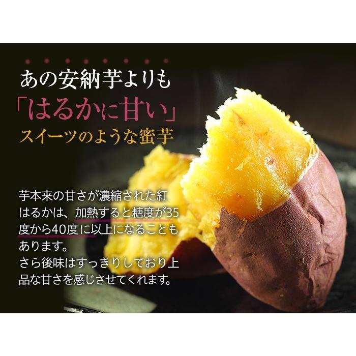 さつまいも 紅はるか 秀品 A等級 L Mサイズ 5kg 熊本県 大津産 Ja菊池 べにはるか 蜜芋 Bhk5lm 01 はちやフルーツ 通販 Yahoo ショッピング