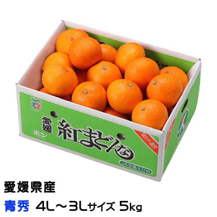 みかん 紅まどんな 青秀 4L〜3Lサイズ 5kg 愛媛県産 JAえひめ中央 中島