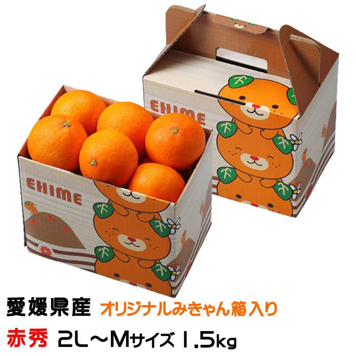 みかん 紅まどんな 赤秀 2L〜Mサイズ 1.5kg 6玉〜10玉 愛媛県産 みかん 紅まどんな 赤秀 2L〜Mサイズ 1.5kg 6玉〜10玉 愛媛県産
