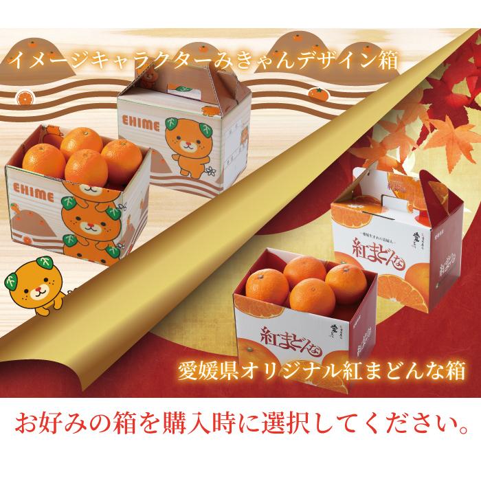 みかん 紅まどんな 赤秀 2L〜Mサイズ 1.5kg 6玉〜10玉 愛媛県産 みかん 紅まどんな 赤秀 2L〜Mサイズ 1.5kg 6玉〜10玉 愛媛県産