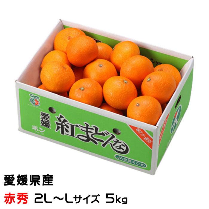 お歳暮 みかん 紅まどんな 赤秀 2L〜Lサイズ 5kg 愛媛県産 JAえひめ中央 中島選果場 ミカン 蜜柑 ギフト お取り寄せ :bm024:はちやフルーツ - 通販 - Yahoo!ショッピング お歳暮 みかん 紅まどんな 赤秀 2L〜Lサイズ 5kg 愛媛県産 JAえひめ中央 中島選果場 ミカン 蜜柑 ギフト お取り寄せ :bm024:はちやフルーツ - 通販 - Yahoo!ショッピング