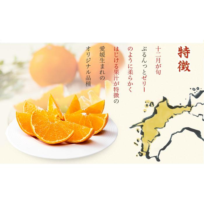 みかん 紅まどんな 赤秀 匠と極 4L〜Lサイズ 3kg 8〜15玉 愛媛県産 JA