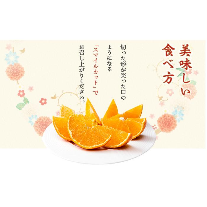 みかん 紅まどんな 赤秀 匠と極 4L〜Lサイズ 3kg 8〜15玉 愛媛県産 JA