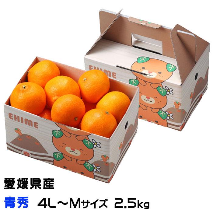 みかん 紅プリンセス 青秀 4L〜Mサイズ 2.5kg みきゃん箱入 愛媛県産