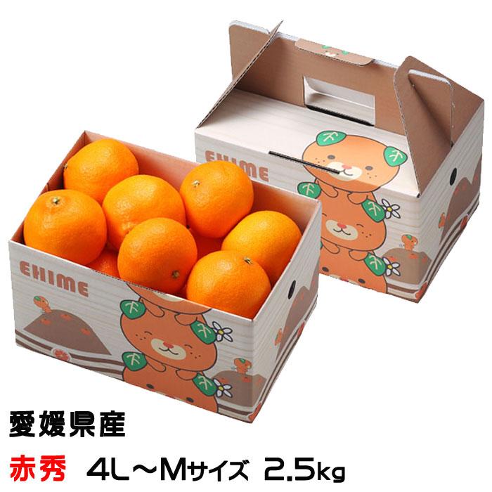 愛媛県産　紅プリンセス　M～L寸4kg 新品種「紅プリンセス（品種：愛媛果試第48号）」愛媛県産 柑橘 M〜4L