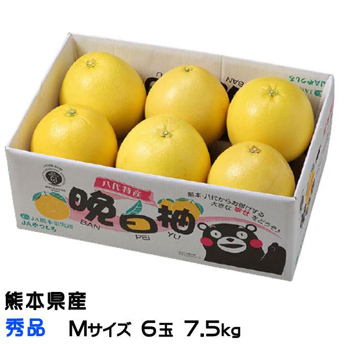 みかん 晩白柚 ばんぺいゆ 秀品 Mサイズ 6玉 7.2kg 熊本県産 JAやつしろ ミカン 蜜柑 :bpy006:はちやフルーツ - 通販 -  Yahoo!ショッピング