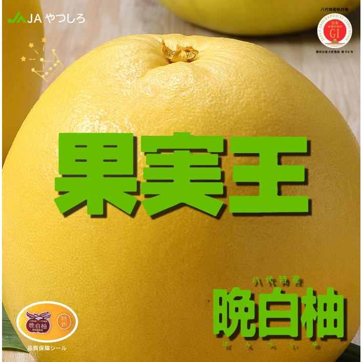 みかん 晩白柚 ばんぺいゆ 秀品 Mサイズ 6玉 7 2kg 熊本県産 Jaやつしろ ミカン 蜜柑 Bpy006 はちやフルーツ 通販 Yahoo ショッピング