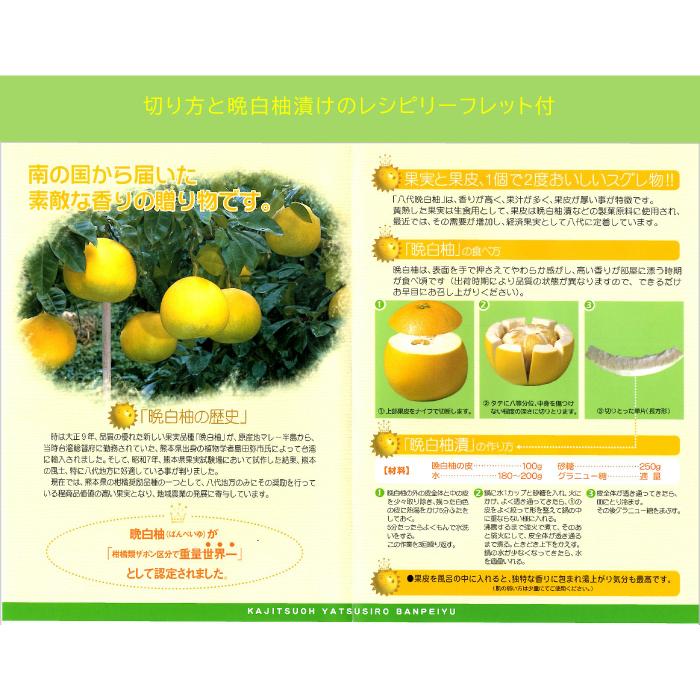 お歳暮 みかん 晩白柚 ばんぺいゆ 訳あり Lサイズ 1玉 1 5kg 化粧箱入り 熊本県産 Jaやつしろ ミカン 蜜柑 Bpy010 はちやフルーツ 通販 Yahoo ショッピング