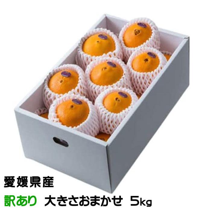 みかん デリッシュネーブル 愛媛県 中島産 Jaえひめ中央 ちょっと訳あり 大きさおまかせ 約5kg 送料無料 ギフト Dn012 はちやフルーツ 通販 Yahoo ショッピング