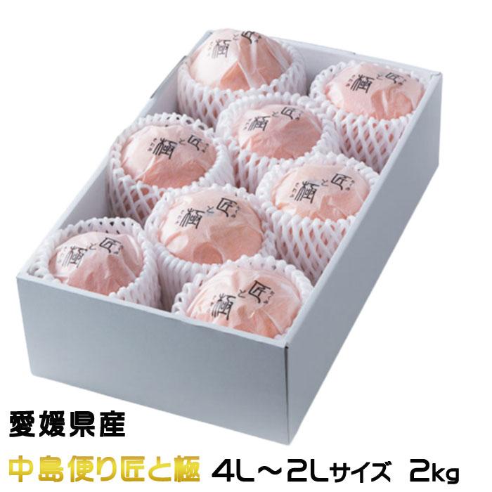 デリッシュネーブル 中島便り 匠と極 大玉 3l 2lサイズ 2kg 愛媛県産 Jaえひめ中央 中島選果場 みかん 柑橘 ギフト 母の日 Dn014 はちやフルーツ 通販 Yahoo ショッピング