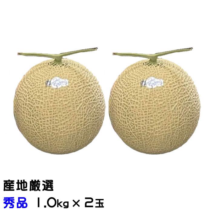 メロン アールスメロン 産地厳選☆ 秀品 1.0kg×2玉 ギフト : はちや