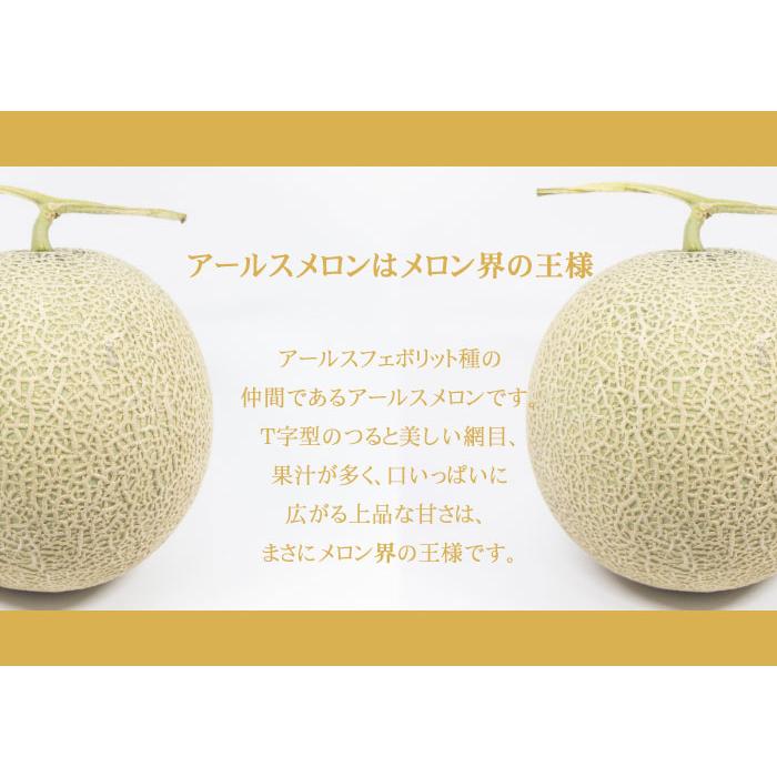 メロン アールスメロン 産地厳選☆ 秀品 3〜6玉 8kg ギフト : はちや