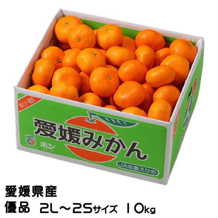 みかん 愛媛みかん 優品 2L〜2Sサイズ 10kg 愛媛県産 ミカン 蜜柑