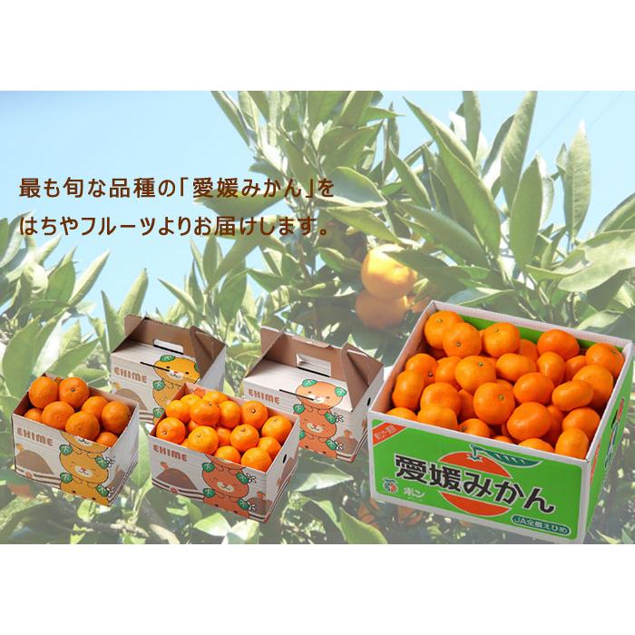 みかん 愛媛みかん 優品 2L〜2Sサイズ 10kg 愛媛県産 ミカン 蜜柑