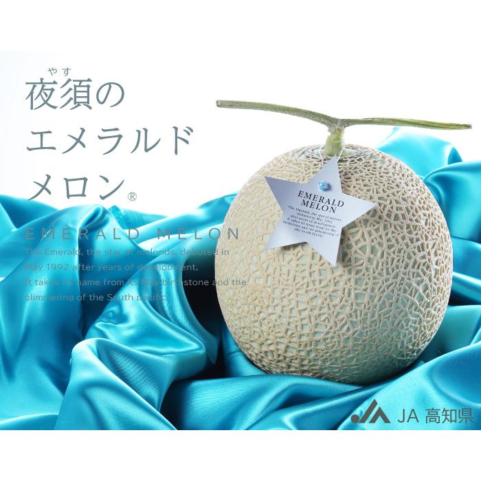 メロン 茨城県取手市『MELON LAB.藤代店』 11月2日グラウンドオープン