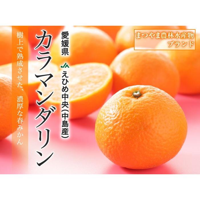 父の日 2025 完熟春みかん カラマンダリン みきゃんパッケージ 赤秀 2L〜Sサイズ 2kg 15〜30玉入り ギフト プレゼント
