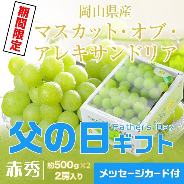 父の日 2024 マスカットオブアレキサンドリア 赤秀 500g×2房 岡山県産 ＪＡおかやま 葡萄 ぶどう ブドウ ギフト プレゼント｜hachiya-fruits