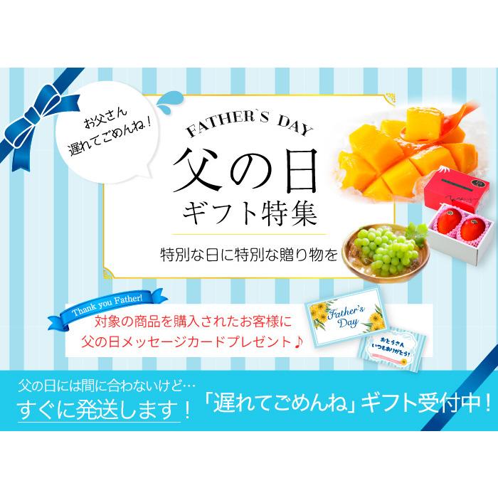 遅れてごめんね父の日ギフト 太陽のタマゴ Ja宮崎経済連 太陽のたまご 青秀 3l 1玉 マンゴー 宮崎県産 Ftm002 はちやフルーツ 通販 Yahoo ショッピング