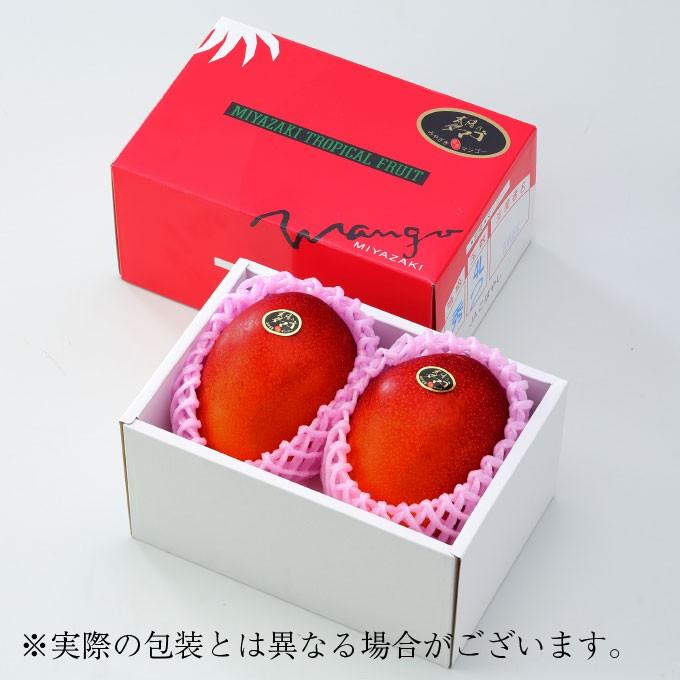 遅れてごめんね 父の日 2026 太陽のタマゴ 太陽のたまご 青秀 3L×2玉
