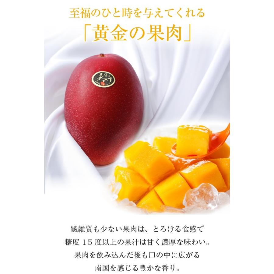 父の日ギフト 商品 太陽のタマゴ Ja宮崎経済連 太陽のたまご 赤秀 3l マンゴー 宮崎県産 2玉