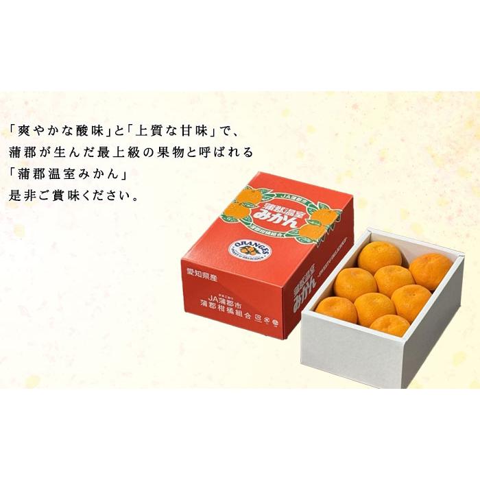 みかん 蒲郡ハウスみかん 秀品 1kg 12〜15玉 愛知県産 蜜柑 ミカン