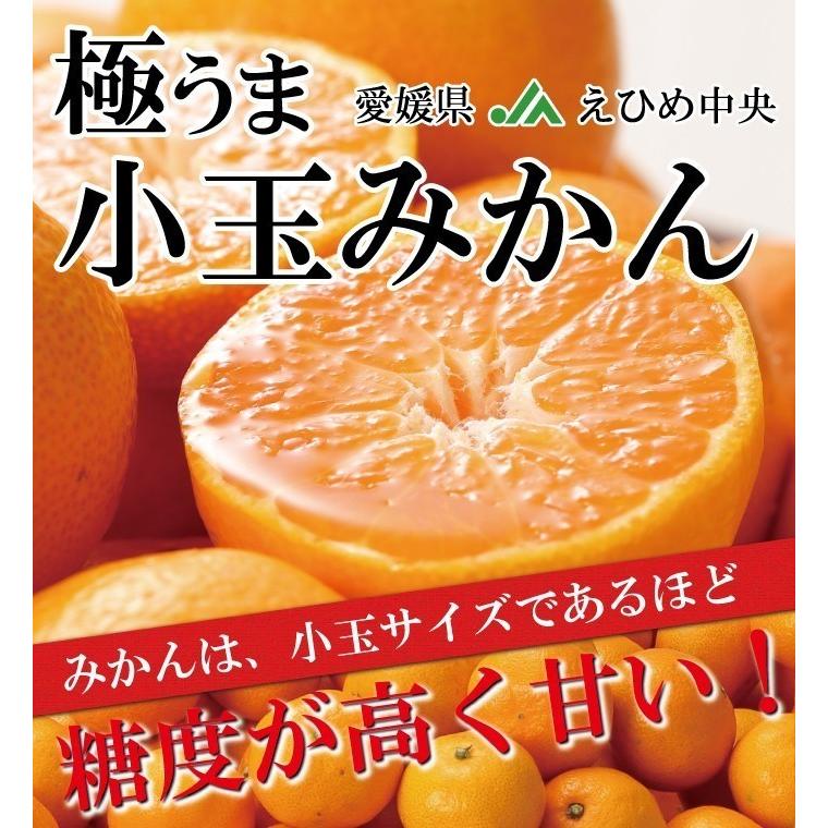 みかん 極旨小玉みかん 優品 S〜SSサイズ 2.5kg みきゃん箱入り JAえひめ中央 中島産 ミカン 蜜柑 ギフト お歳暮 :gkm011:はちやフルーツ - 通販 - Yahoo!ショッピング みかん 極旨小玉みかん 優品 S〜SSサイズ 2.5kg みきゃん箱入り JAえひめ中央 中島産 ミカン 蜜柑 ギフト お歳暮 :gkm011:はちやフルーツ - 通販 - Yahoo!ショッピング
