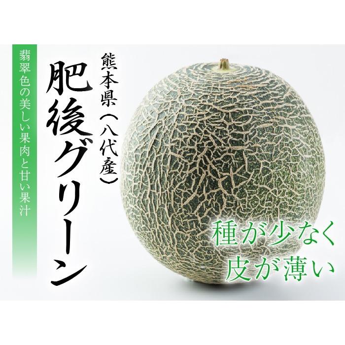 肥後グリーンメロン2玉入 肥後グリーンメロン（大玉限定！）【熊本県産】2玉入 約5kg 平均