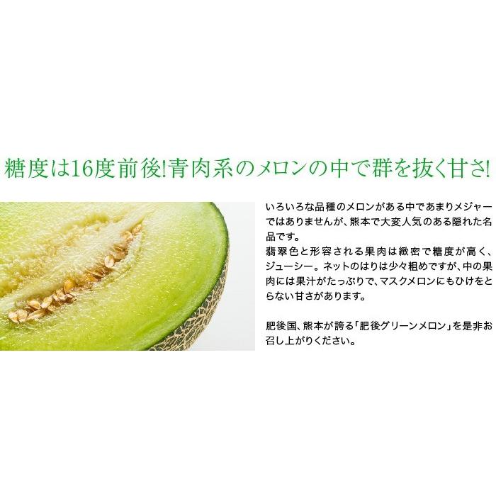 メロン 肥後グリーンメロン 秀品 6L〜5Lサイズ 2玉 2.2kg以上