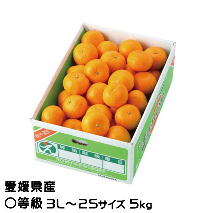 みかん はれひめ 〇等級 3L〜2Sサイズ 5kg 愛媛県産 JAえひめ中央 中島