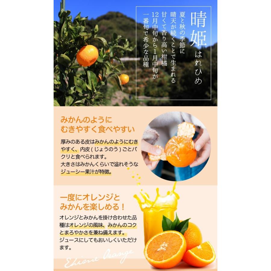みかん はれひめ 訳あり 大きさおまかせ 5kg 送料無料 愛媛県産 Jaえひめ中央 中島選果場 ミカン 蜜柑 Hhm004 はちやフルーツ 通販 Yahoo ショッピング